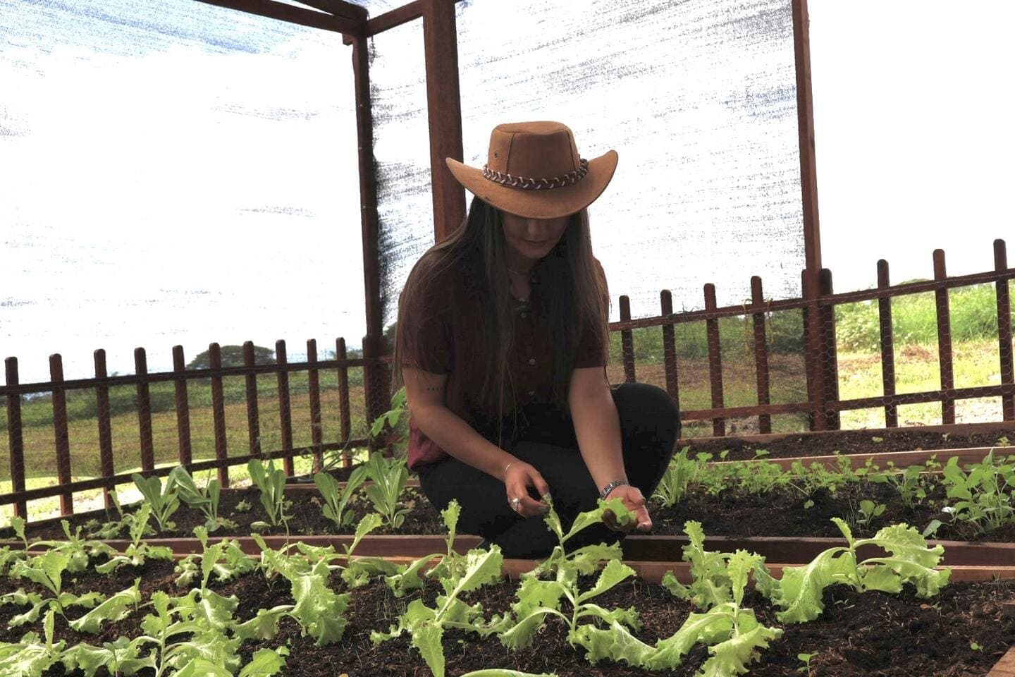 Huertas comunitarias