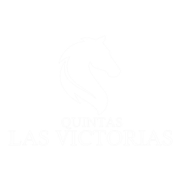 Logo del proyecto Quintas Las Victorias