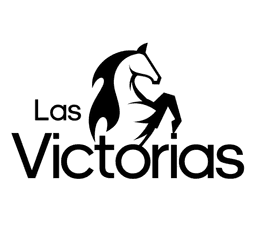 Logo del proyecto Llanos las Victorias