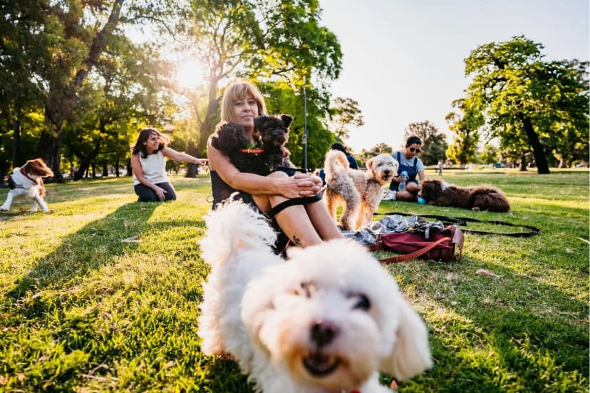 Dog park