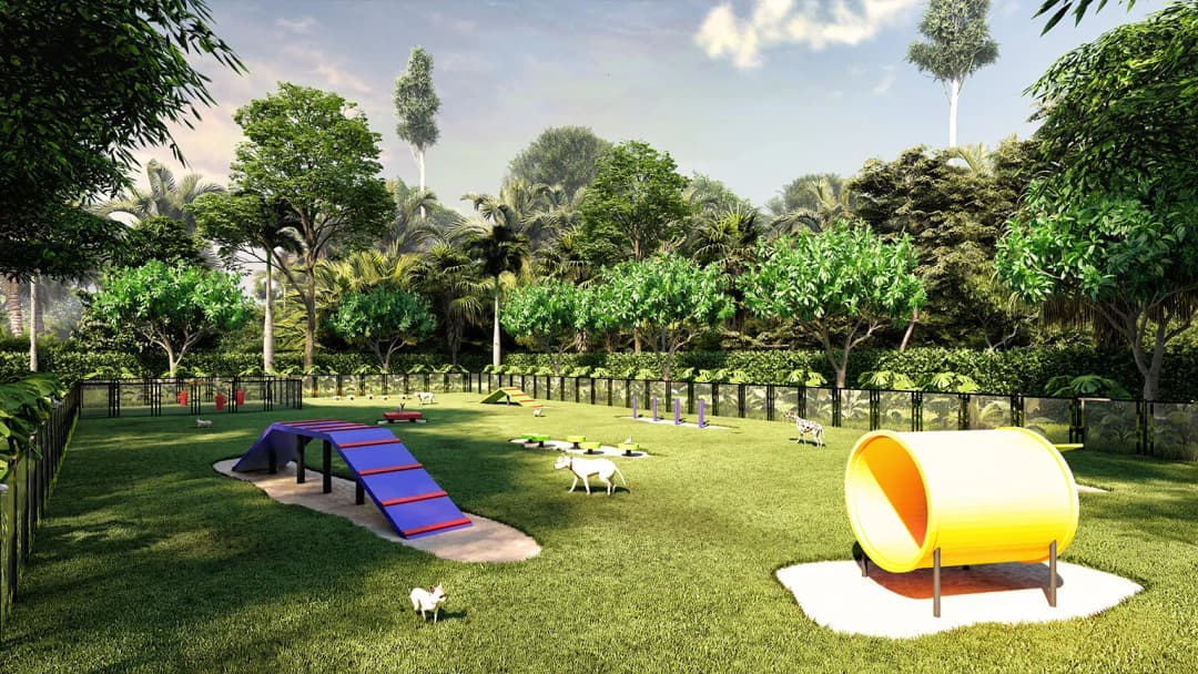 Zona Dog Park
